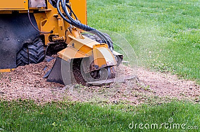 Stump grinder eating up a stump Stock Photo