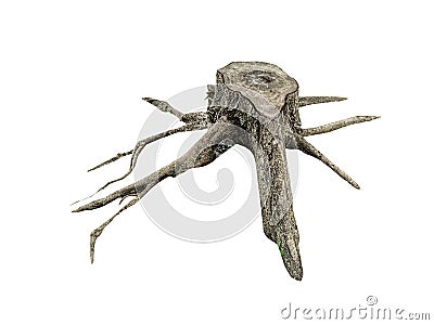 Stump tree on white background Stock Photo