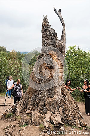 Armenia, Haghartsin, September 2021. The remains of the sacred tree of desires in the courtyard of the monastery and tourists. Editorial Stock Photo