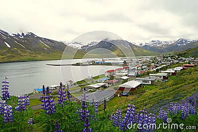 Stunning aerial view of the residential area in the town along the fjord in the summer near Siglufjordur, Iceland Stock Photo