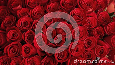 A stunning close-up of a bouquet of vibrant red roses Stock Photo