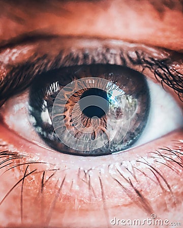 Stunning close-up of a human eye with the iris highlighted Stock Photo