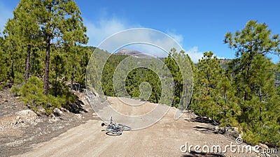 Stunning clouds and mountain forest landscape. Pines along country road with bycicle of photografer. Bright blue sky and beautiful Stock Photo