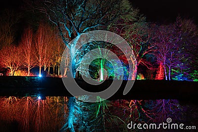 Stunning Colourful Floodlit Trees at Night. Editorial Stock Photo