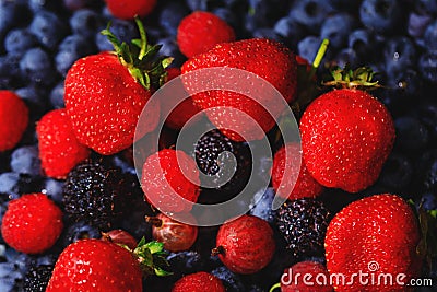 Stunning composition of red strawberries, raspberries and gooseberries on background of blue blueberries. Ripe and juicy fresh Stock Photo