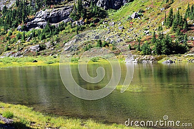 Fall colors around Lower Bagley Lake in the North Cascades Stock Photo