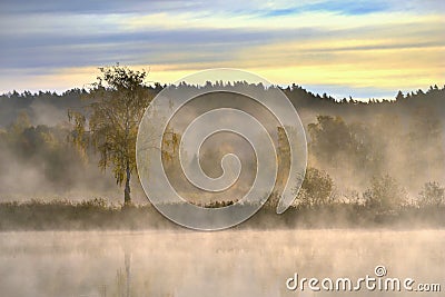 Stunning foggy Autumn morning . Amazing Lithuania nature Stock Photo