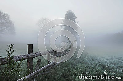 Stunning foggy landscape Stock Photo