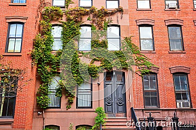 Stunning front entrance of brick apartment building covered in green vines in Greenwich Village New York City Stock Photo