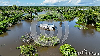 Stunning landscape of Amazon Forest at Amazonas State Brazil. Stock Photo