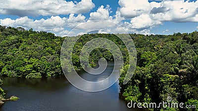 Stunning landscape of Amazon Forest at Amazonas State Brazil. Stock Photo