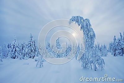 Stunning Lapland wilderness in winter Stock Photo