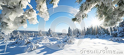 Stunning panorama of snowy landscape in winter in Black Forest - Snow view winter wonderland snowscape background banner with Stock Photo