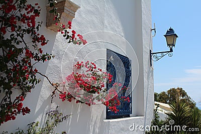 Beautiful flowers on the background of the white building in the white and blue city of Sidi Bou Said in Tunisia Stock Photo