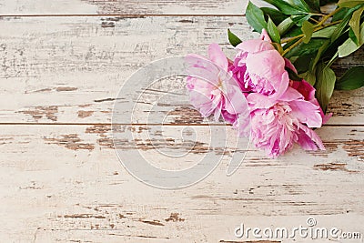 Stunning pink peonies on white light rustic wooden background. Copy space, floral frame. Vintage, haze looking. Wedding card Stock Photo