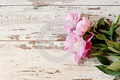 Stunning pink peonies on white light rustic wooden background. Copy space, floral frame. Vintage, haze looking. Stock Photo