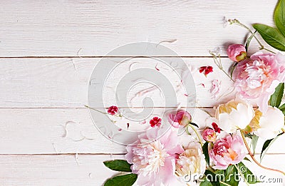 Stunning pink peonies on white rustic wooden background. Copy space Stock Photo