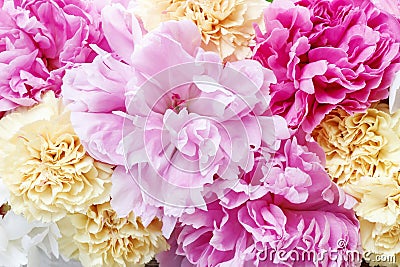 Stunning pink peonies, yellow carnations and roses Stock Photo