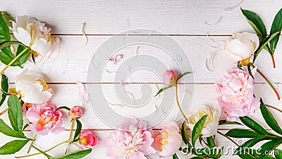 Stunning pink peonies on white rustic wooden background. Copy space Stock Photo