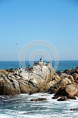 The stunning rocky Renaca coastline Stock Photo