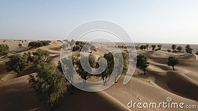 Glad Smeren Bestrooi A Stunning Snap Shot of the Drone in the Hema Desert, Trees, Drylands and  Red Dunes, Sultanate of Oman Stock Footage - Video of nature, heat:  178494796