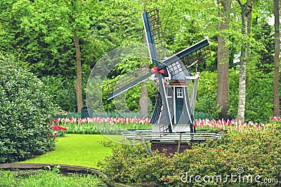 Stunning spring landscape, famous Keukenhof garden with colorful fresh tulips, flowers and Dutch windmill in background, Stock Photo