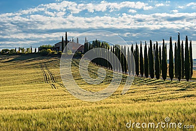 Magnificent spring rural landscape. Stock Photo