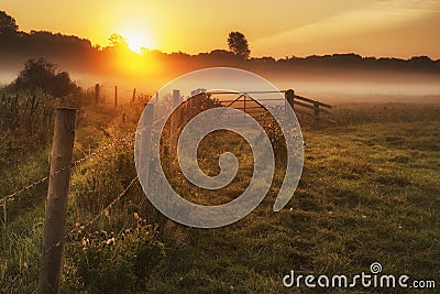 Stunning sunrise landscape over foggy English countryside with g Stock Photo