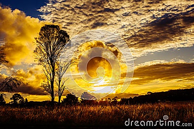 Stunning sunset sun setting behind tree, mountains rural Australia Stock Photo