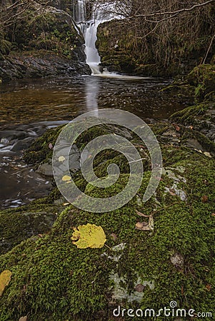 Stunning vibrant landscape image of Aira Force Upper Falls in Lake District during colorful Autumn showing Stock Photo