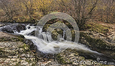 Stunning vibrant landscape image of Aira Force Upper Falls in Lake District during colorful Autumn showing Stock Photo