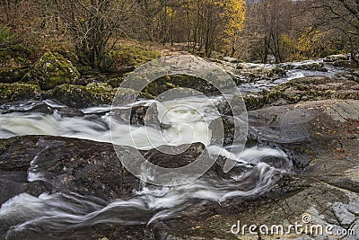 Stunning vibrant landscape image of Aira Force Upper Falls in Lake District during colorful Autumn showing Stock Photo