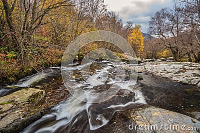 Stunning vibrant landscape image of Aira Force Upper Falls in Lake District during colorful Autumn showing Stock Photo