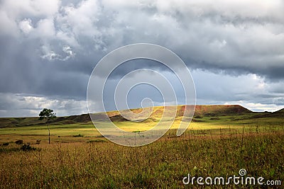 Stunning view to savanna under stormy cloudy sky Stock Photo