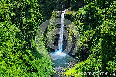 Stunning view of wild jungle waterfall with pristine water, Sopoaga Tropical Waterfall Samoa close up, Upolu Island, Western Stock Photo