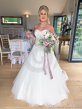 Stunning wedding bride Stock Photo