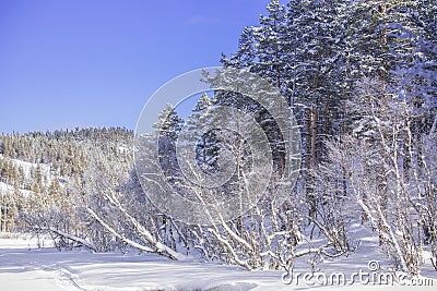 A stunning winter scene in Norway Stock Photo