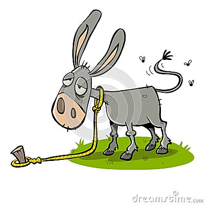 Stupid looking bored tired lazy donkey Stock Photo