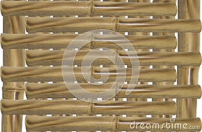 Sturdy Bamboo Stalk Stock Photo