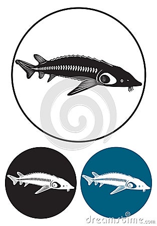 Sturgeon Vector Illustration