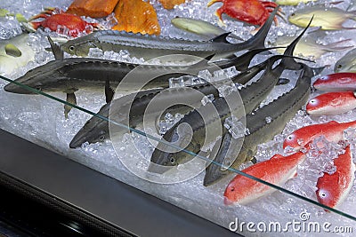 Sturgeon crude, crabs and other fish not cooked fish lying on ice on a counter in a supermarket Stock Photo