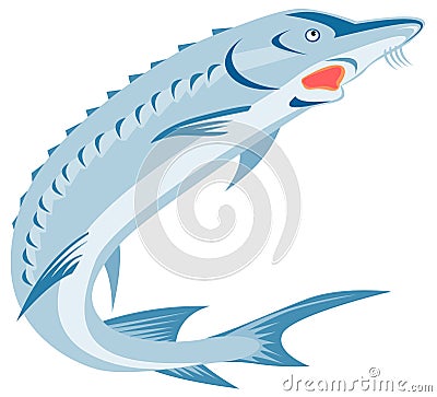 Sturgeon Fish Stock Photo