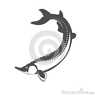 Sturgeon fish caviar Vector Illustration