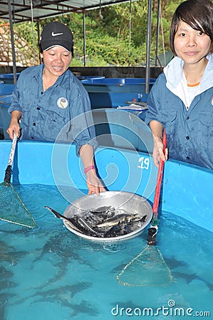 A sturgeon hatchery is being introduced to farmers in Tuyen Lam lake, Da Lat city Editorial Stock Photo