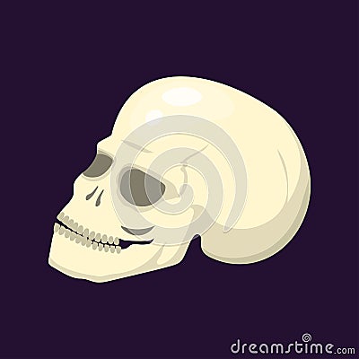 Style skull face halloween horror style tattoo anatomy art cartoon decoration gothic human skeleton symbol dead evil Vector Illustration