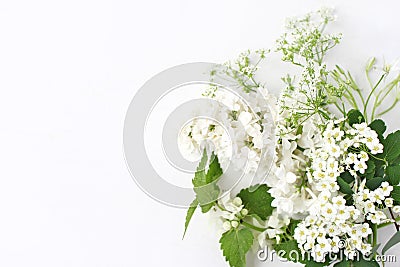 Styled stock photo. Decorative floral composition. Wild birthday bouquet of blossoming white nettle, lilac, cow parsley Stock Photo