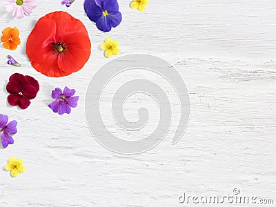 Styled stock photo. Feminine desktop floral composition with wild and edible garden flower. Poppy, pansy geranium and Stock Photo