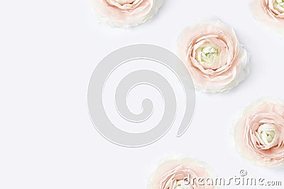 Styled stock photo. Feminine desktop mockup with blush pink buttercup flowers, Ranunculus, on white table background Stock Photo