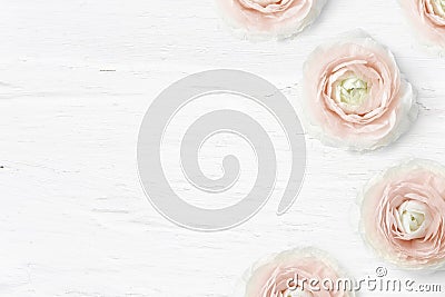 Styled stock photo. Feminine desktop mockup with buttercup flowers, Ranunculus, empty space and shabby white background Stock Photo