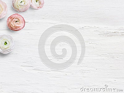 Styled stock photo. Feminine desktop mockup with buttercup flowers, Ranunculus, empty space and shabby white background Stock Photo
